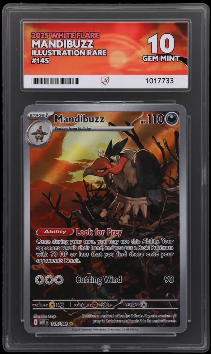 Mandibuzz