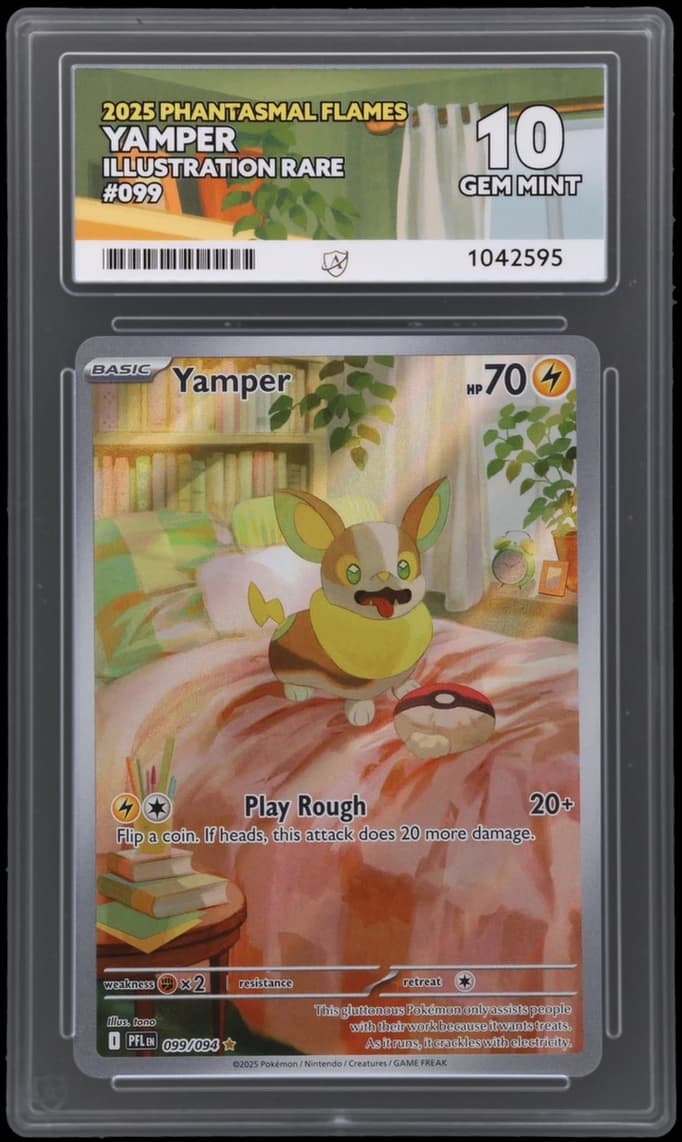 Yamper