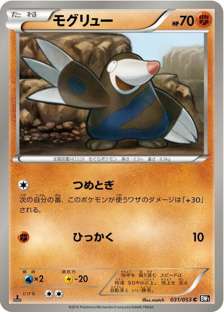 Sandile 1st Edition