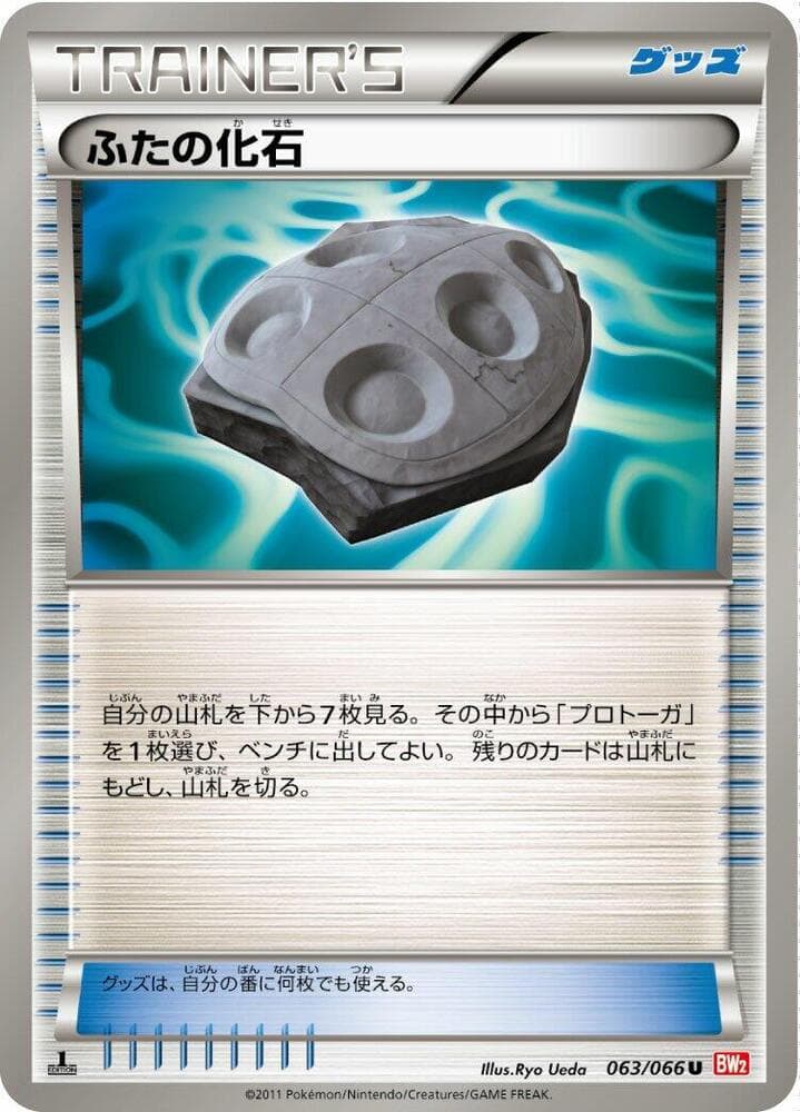 Cover Fossil 1st Edition