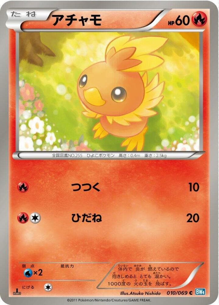 Torchic 1st Edition