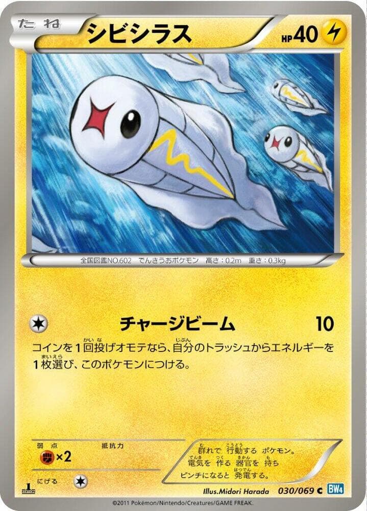 Tynamo 1st Edition
