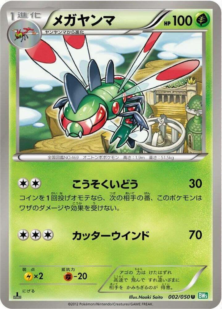 Skiploom 1st Edition
