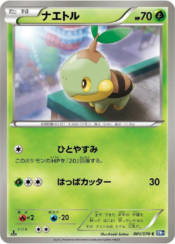 Turtwig 1st Edition