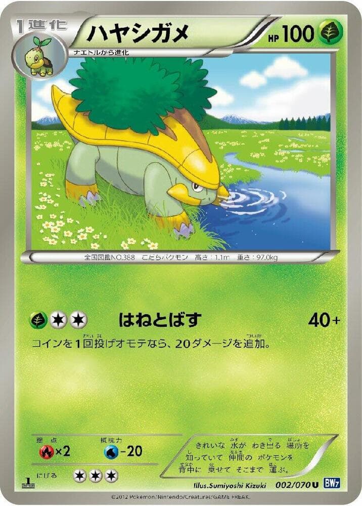 Grotle 1st Edition