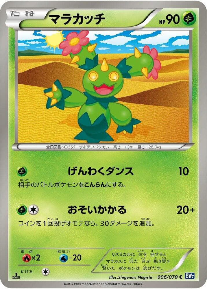 Maractus 1st Edition