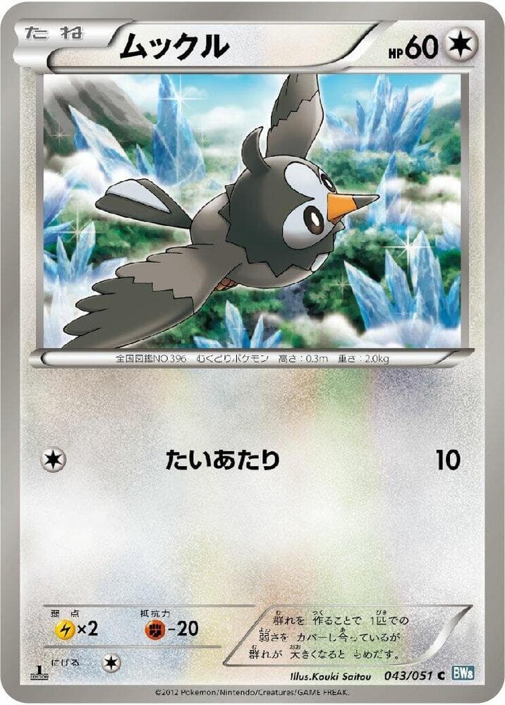 Starly 1st Edition
