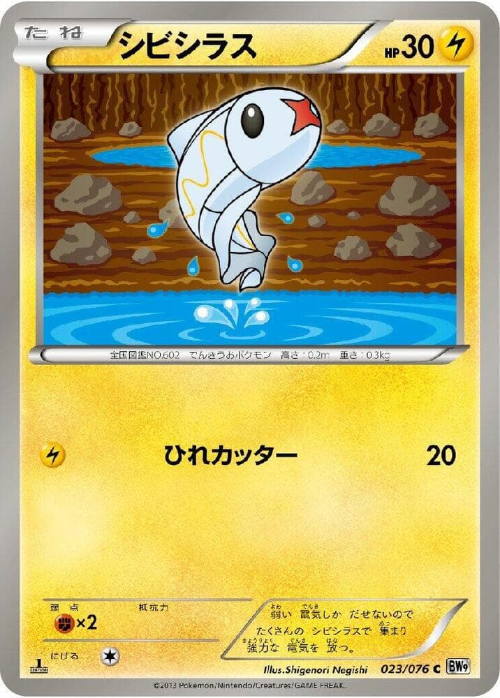 Tynamo Unlimited