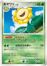 Sunflora