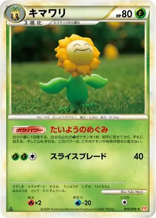 Sunflora 1st Edition