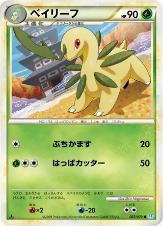 Bayleef 1st Edition