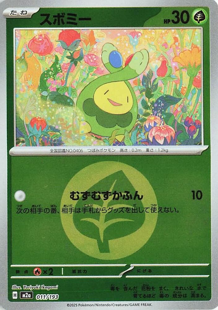 Budew Holofoil