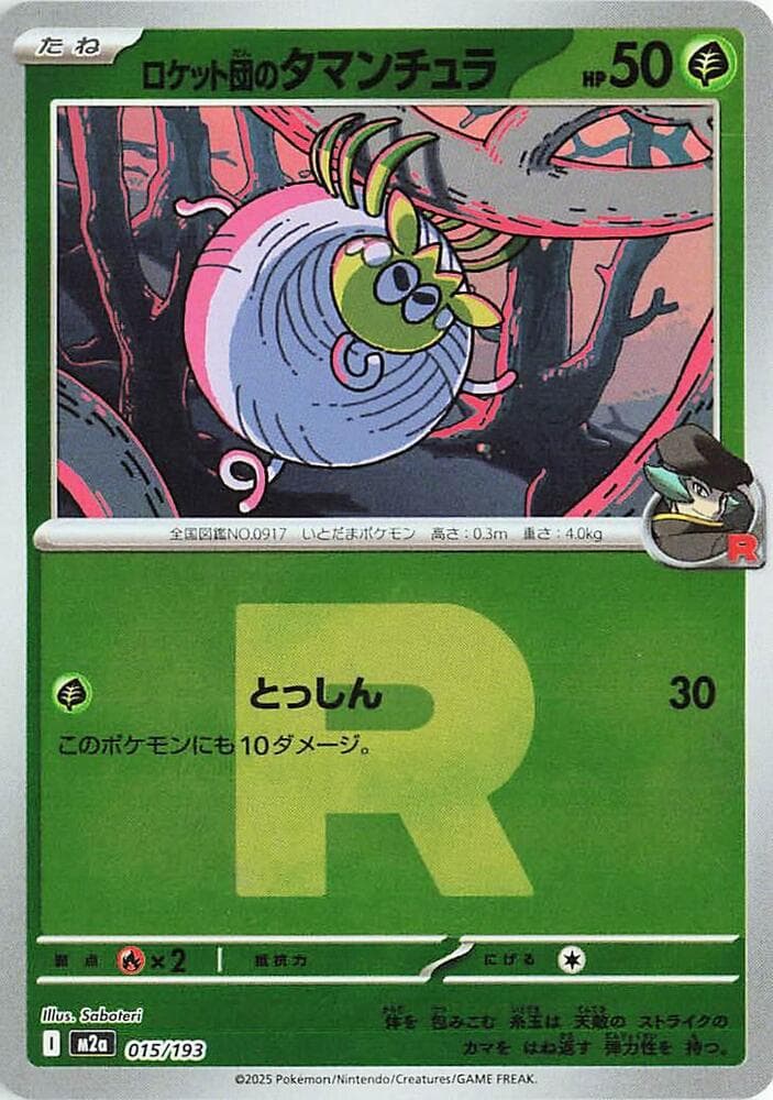 Team Rockets Tarountula Team Rocket Pattern Holofoil, catalogue front