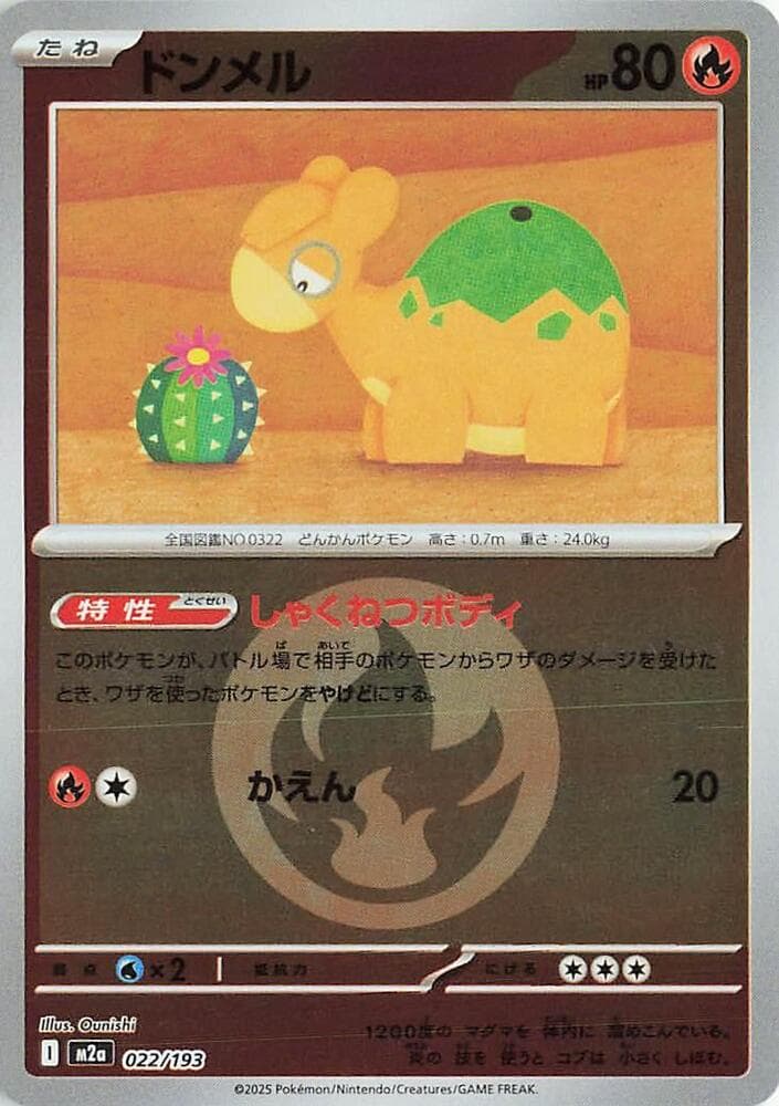 Numel Holofoil, catalogue front