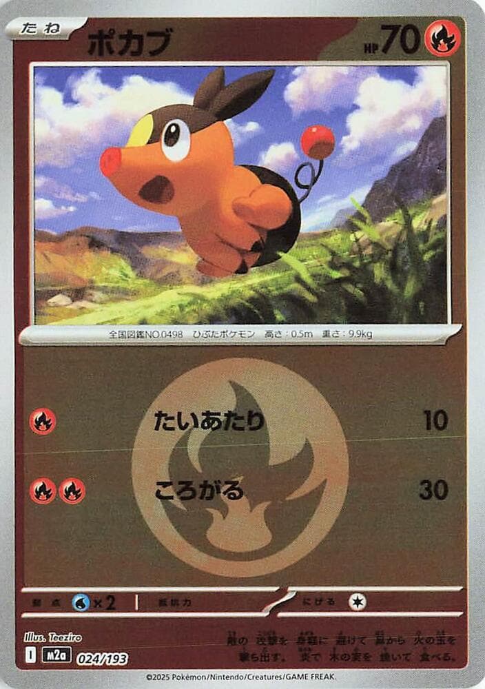 Tepig Energy Symbol Pattern Holofoil, catalogue front