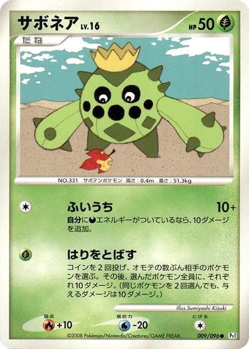 Cacnea 1st Edition