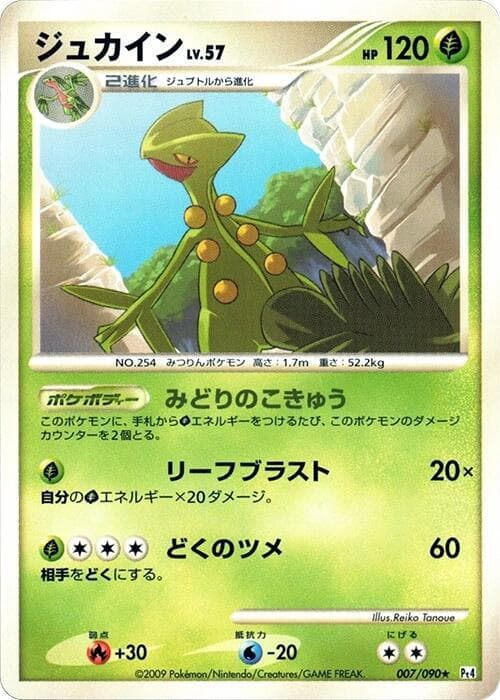 Sceptile 1st Edition