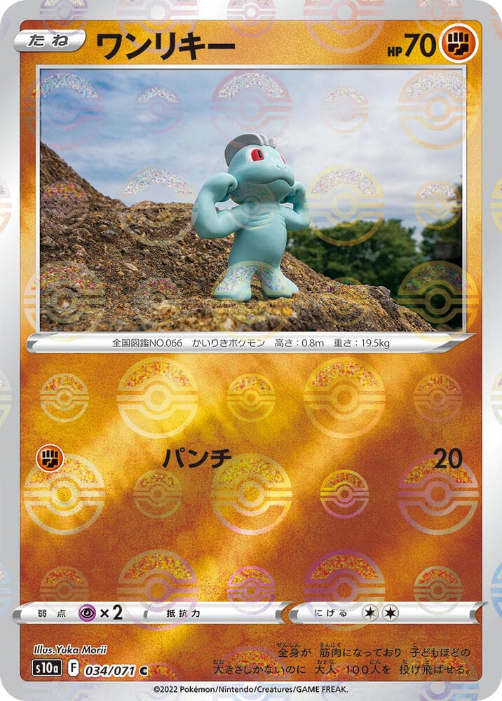 Machop Holofoil, catalogue front