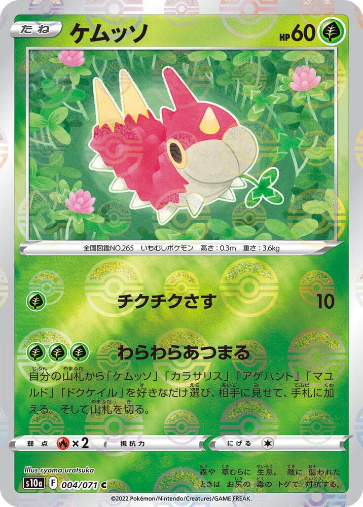 Wurmple Holofoil, catalogue front