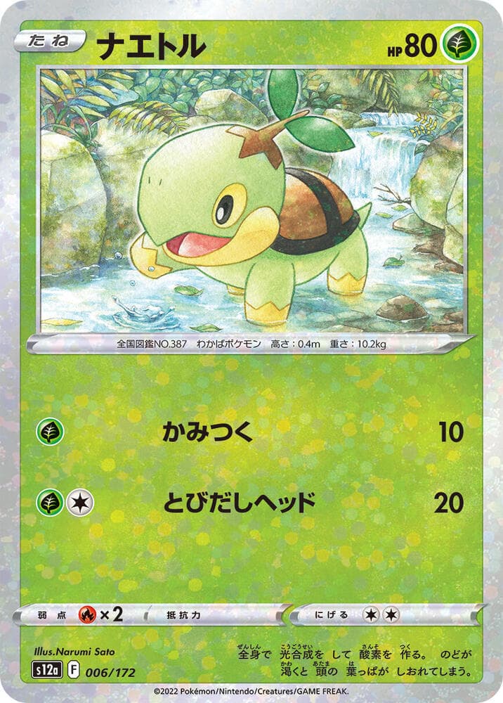 Turtwig Holofoil