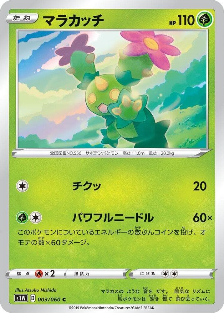 Maractus, catalogue front