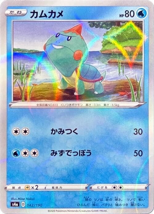 Chewtle Holofoil