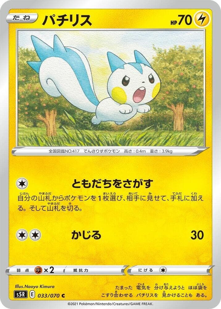 Pachirisu, catalogue front