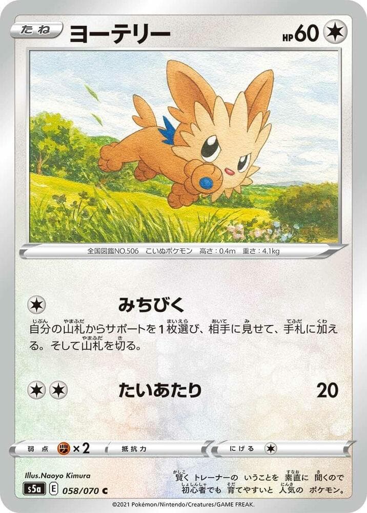 Lillipup, catalogue front