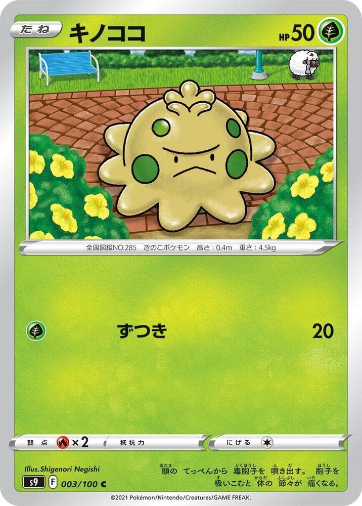 Shroomish, catalogue front