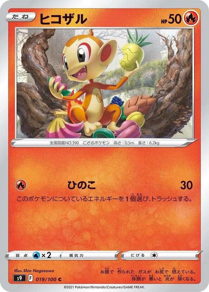 Chimchar, catalogue front