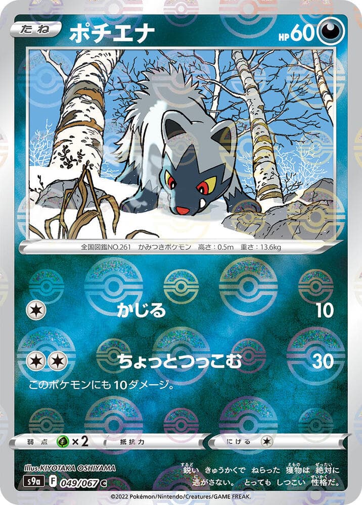 Poochyena Poke Ball Pattern Holofoil