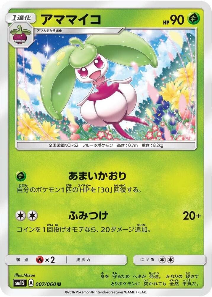 Steenee, catalogue front