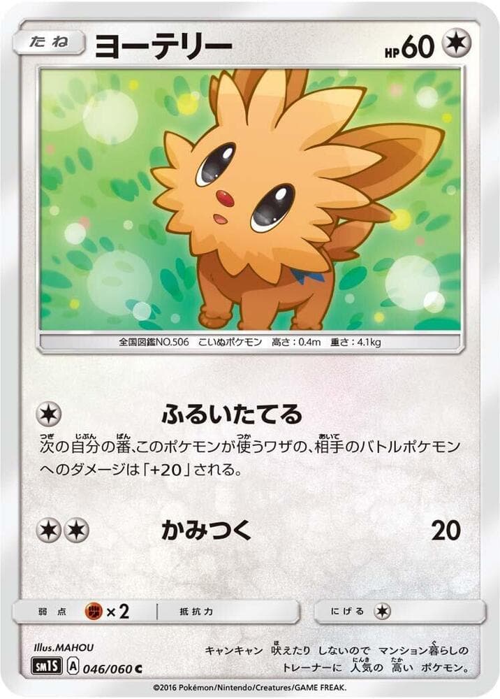 Lillipup, catalogue front