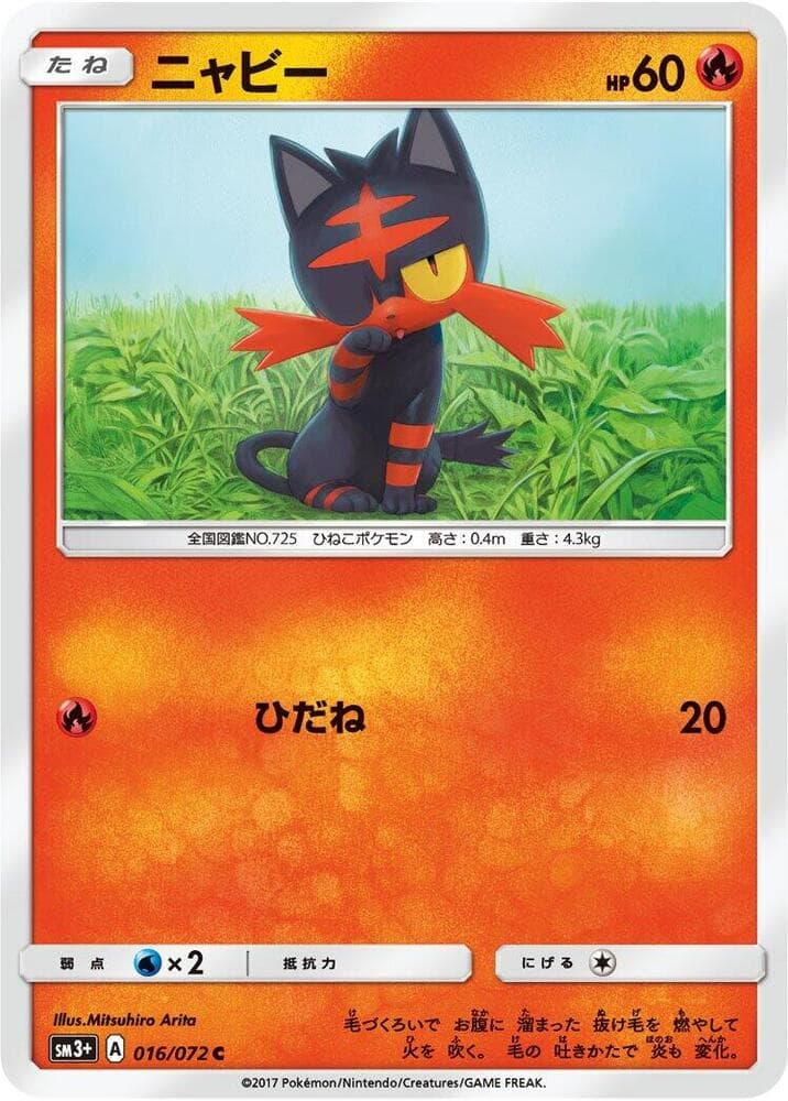 Litten, catalogue front