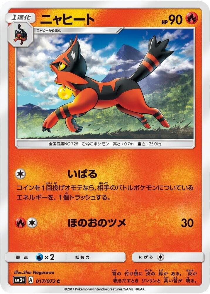 Torracat, catalogue front