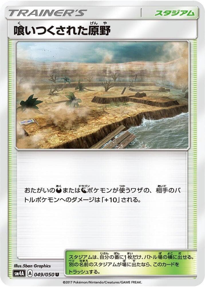 Decayed Wasteland