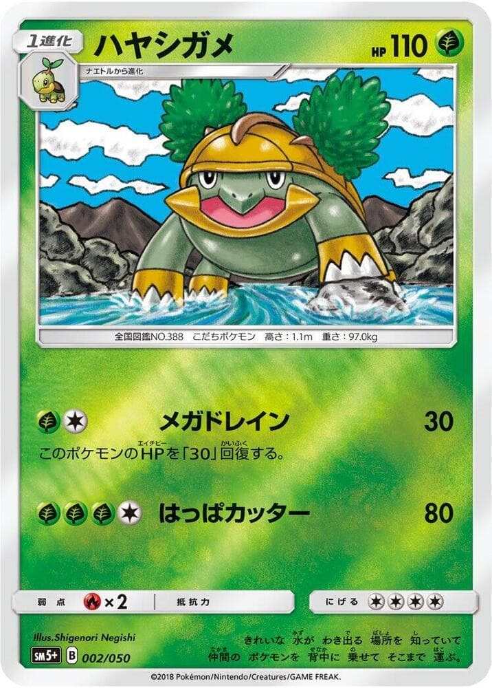 Grotle, catalogue front