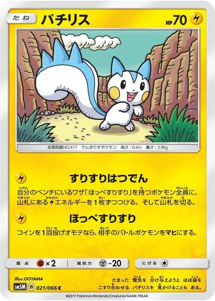 Pachirisu, catalogue front