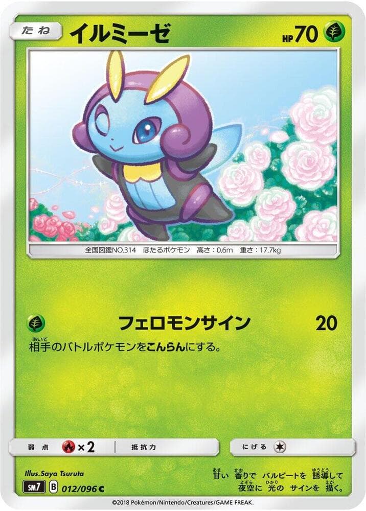 Illumise, catalogue front