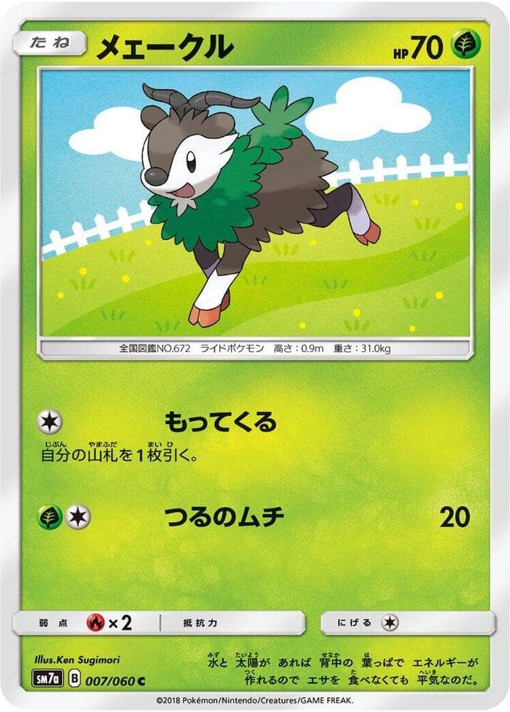 Skiddo, catalogue front