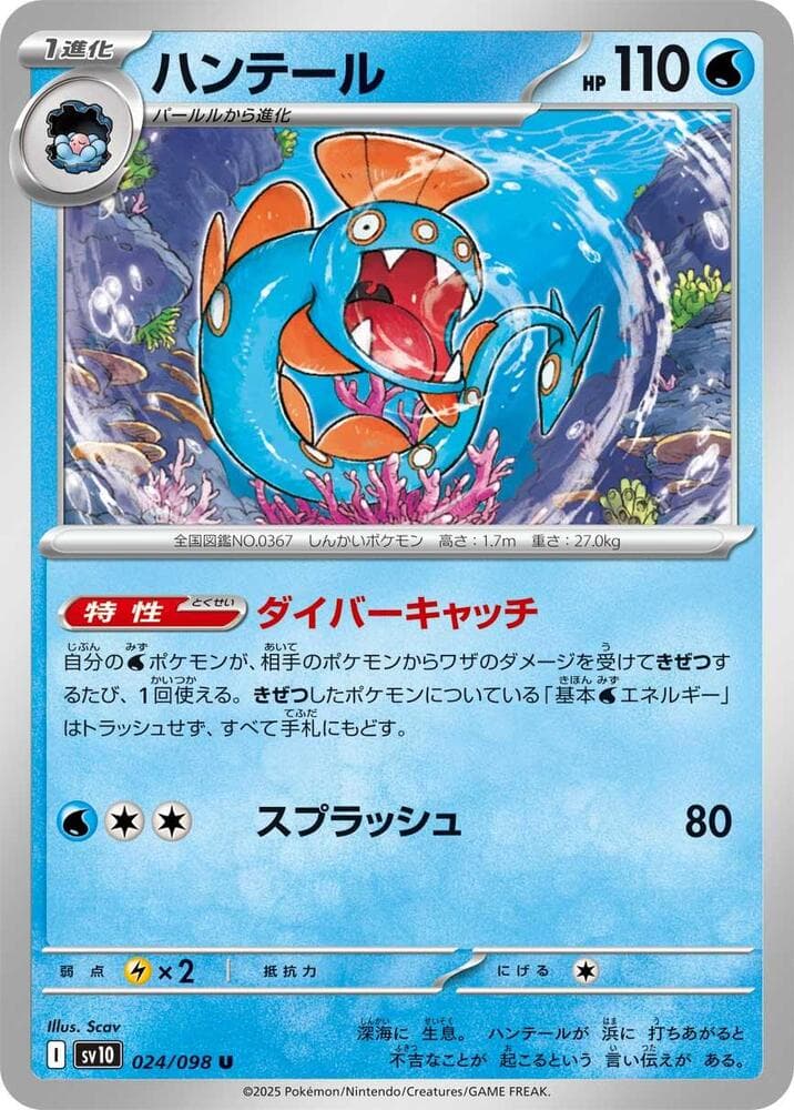Huntail