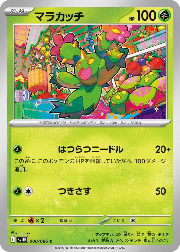 Maractus, catalogue front