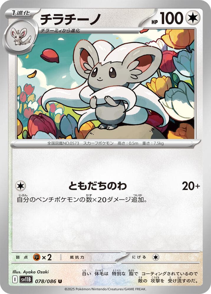 Cinccino