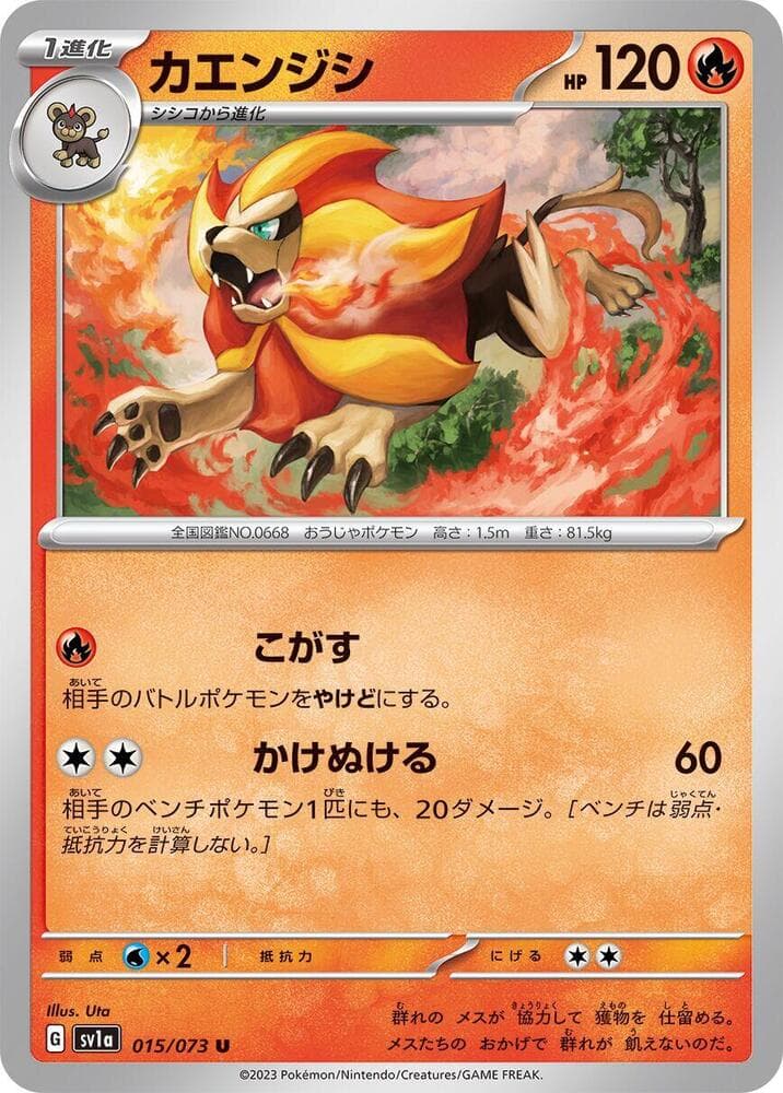 Pyroar, catalogue front