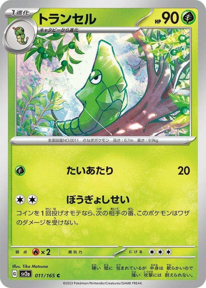Metapod Master Ball Holo