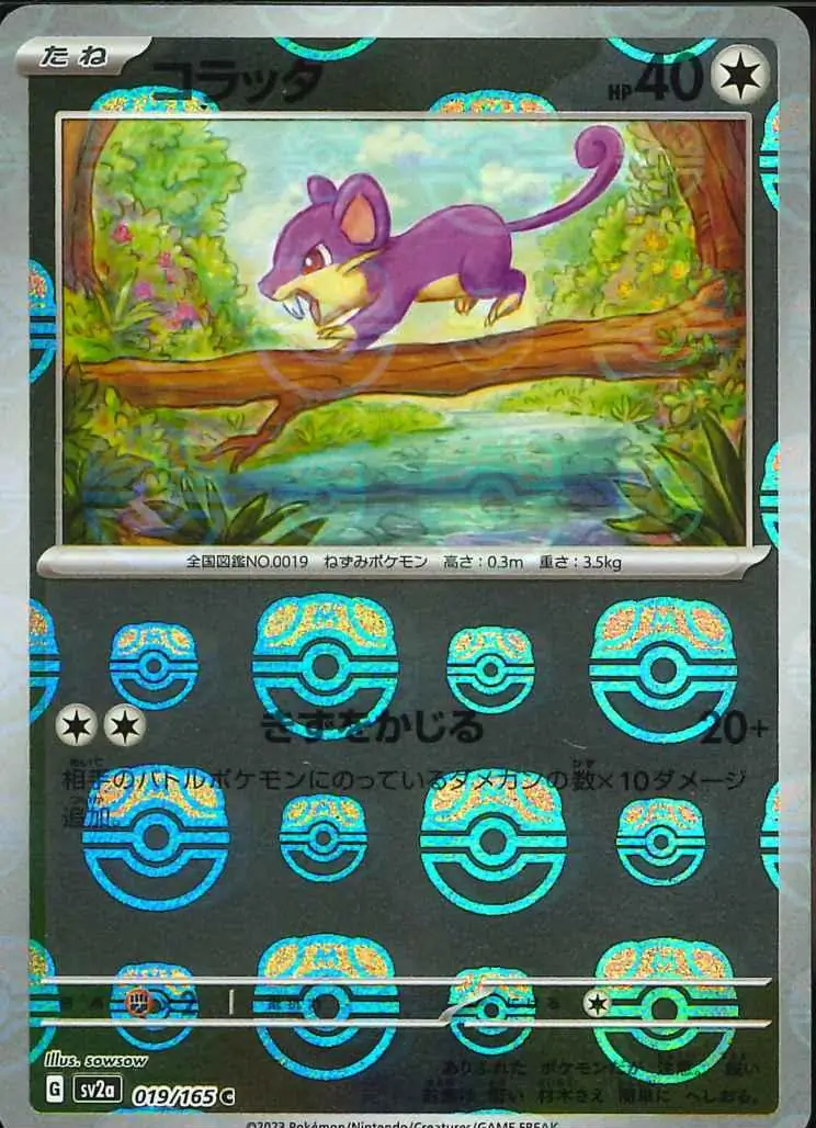 Rattata Master Ball Holo