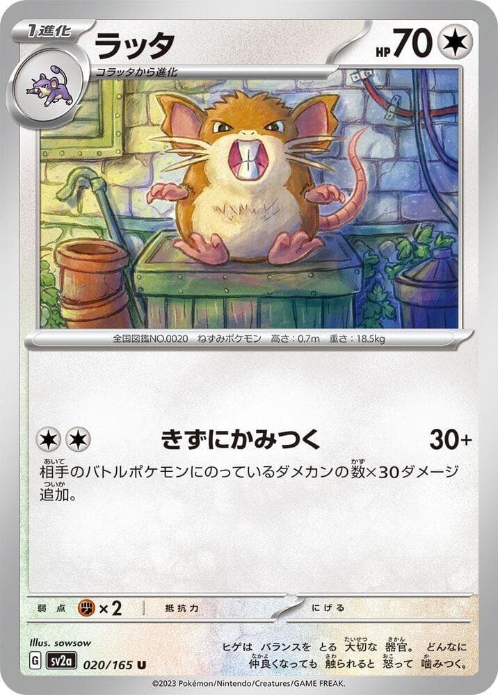 Raticate Master Ball Holo