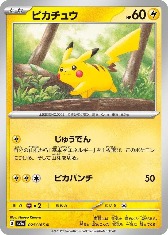 Pikachu Master Ball Holo