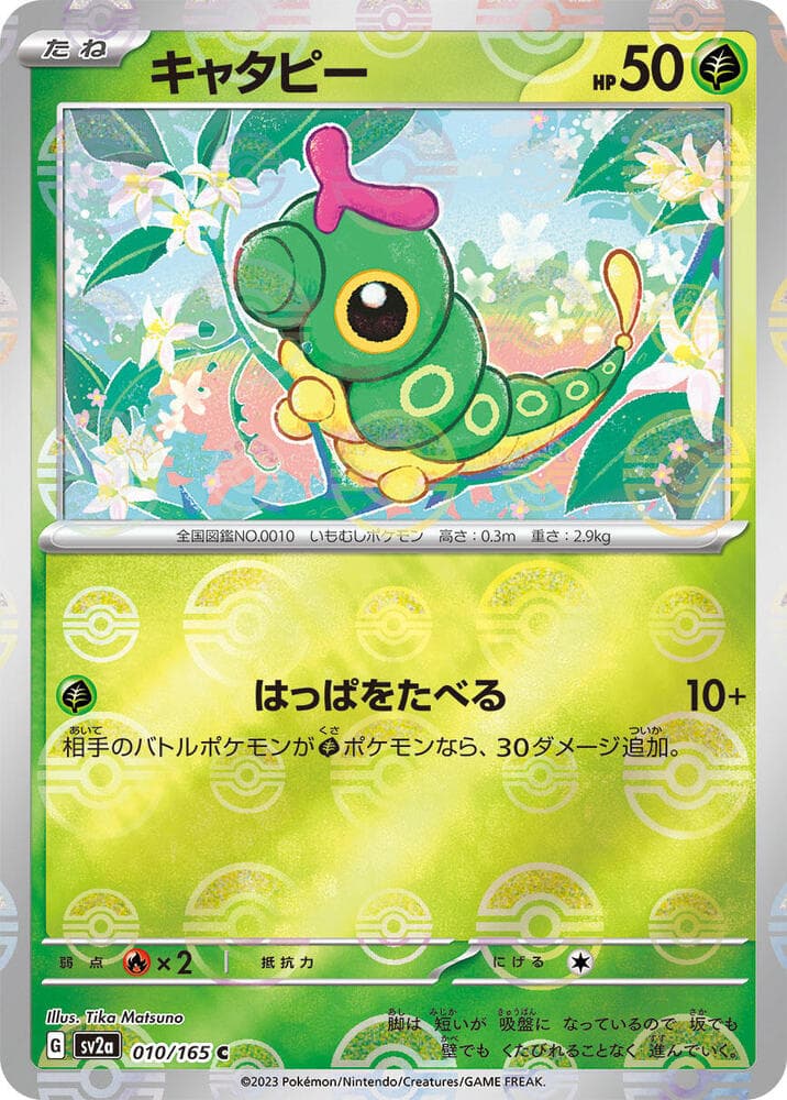 Caterpie Holofoil