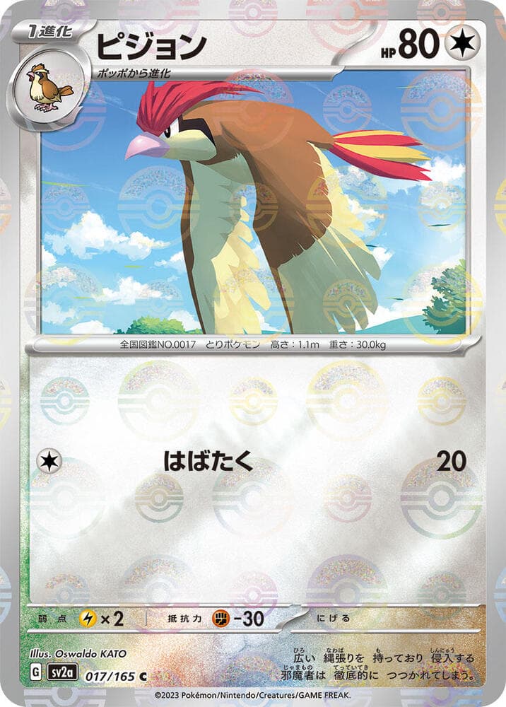 Pidgeotto Poke Ball Pattern Holofoil